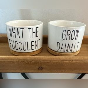 Succulent pots